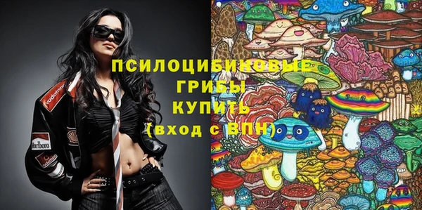 ГАЛЛЮЦИНОГЕННЫЕ ГРИБЫ Валдай