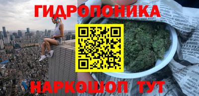 стафф Донецк