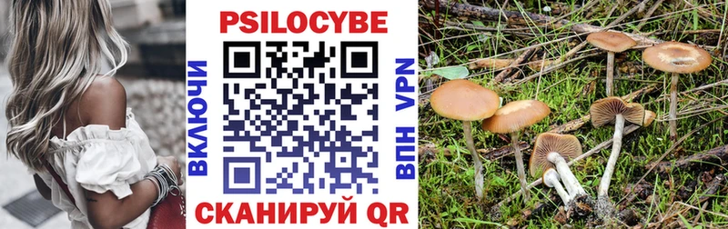 Галлюциногенные грибы мухоморы  Ленинск-Кузнецкий 