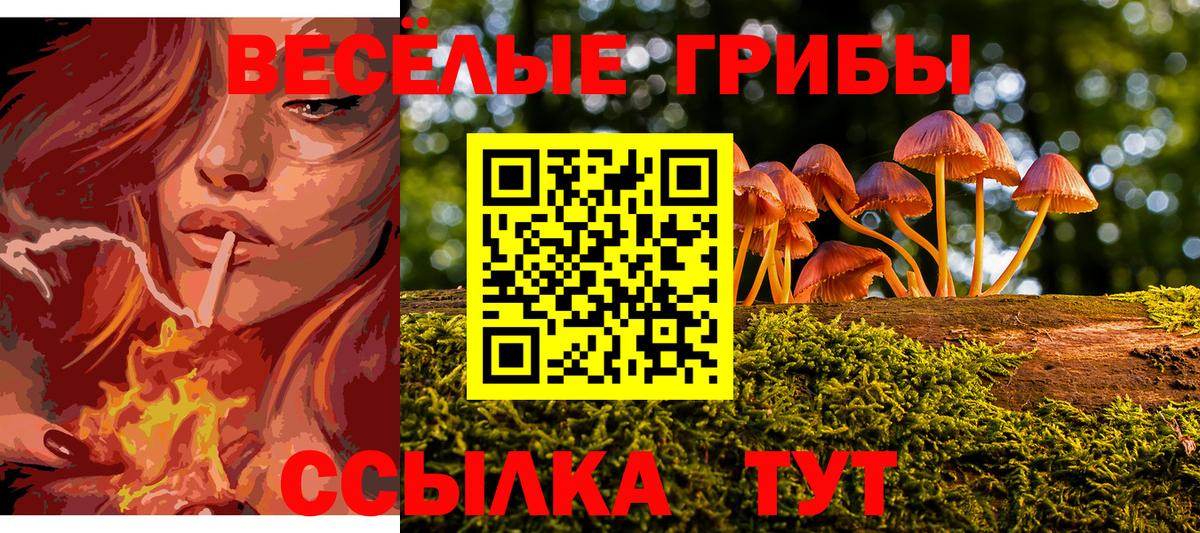 МЕТ  Марихуана  Меф   NBOMe  Ленинск-Кузнецкий  Гашиш  Меф МЯУ МЯУ  ГАШИШ  Вход с VPN  ЭКСТАЗИ 
