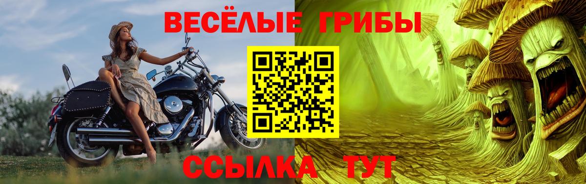 Псилоцибиновые грибы GOLDEN TEACHER Ленинск-Кузнецкий