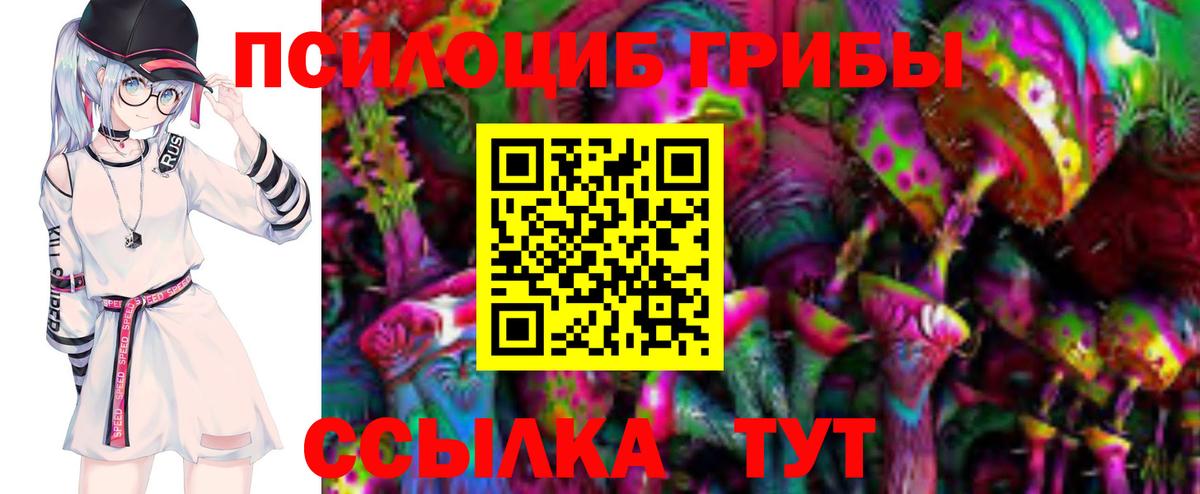 Ленинск-Кузнецкий  продажа наркотиков  Вход с VPN  Галлюциногенные грибы GOLDEN TEACHER  Псилоцибиновые грибы Psilocybine cubensis 